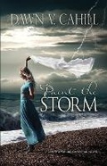 Cover: Paint The Storm - Spring Mountain Publishing
