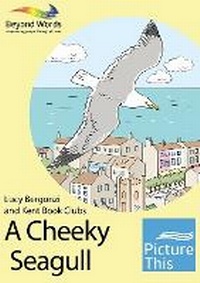 Enlarge image Cover: A Cheeky Seagull - Books Beyond Words