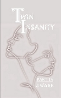 Enlarge image Cover: TwinInsanity 14 - Jware