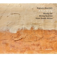 Abbildung von: A Dark Flaring: Works from South Africa - Universal Vertrieb