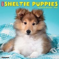 Cover: Sheltie Puppies 2026 12 X 12 Wall Calendar - Willow Creek Press Calendars