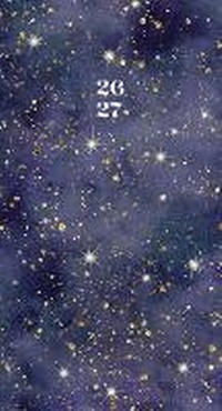 Abbildung von: Starry Night 2-Year 2026-27 3.5 X 6.5 Monthly Pocket Planner - Willow Creek Press Calendars