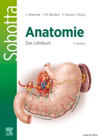 Abbildung von: Sobotta Anatomie - Das Lehrbuch - Urban & Fischer