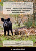 Bild: Genetische Konnektivität von Wildschweinen in von der Afrikanischen Schweinepest betroffenen Gebieten - VVB Laufersweiler Verlag