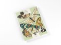 Cover: Butterflies - Pepin Press