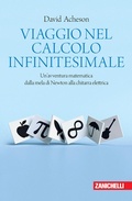 Cover: Viaggio nel calcolo infinitesimale. Un'avventura matematica dalla mela di Newton alla chitarra elettrica - Chiavi di lettura;Zanichelli