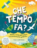 Cover: Che tempo fa? - STEM;Gallucci