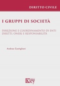 Cover: I gruppi di societ&agrave;. Direzione e coordinamento di enti. Diritti, oneri e responsabilit&agrave; - Key Editore