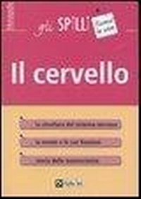 Abbildung von: Il cervello - Gli spilli;Alpha Test