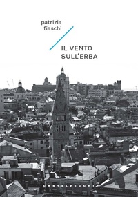Abbildung von: Il vento sull'erba - Carene;Castelvecchi
