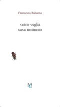 Cover: Vetro veglia casa tintinnio - Gli insetti;MC