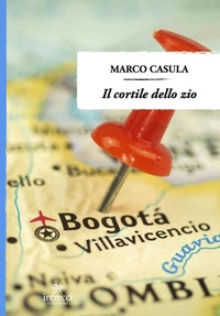 Abbildung von: Il cortile dello zio - Enne;Intrecci Edizioni