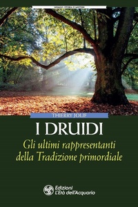 Abbildung von: I Druidi. Gli ultimi rappresentanti della Tradizione primordiale - Uomini storia e misteri;L'Età dell'Acquario