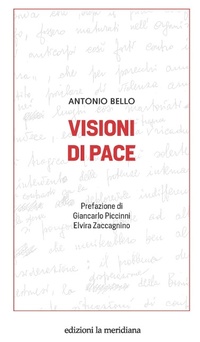 Enlarge image Cover: Visioni di pace - Paceinsieme... alle radici dell'erba;Edizioni La Meridiana