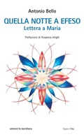 Cover: Quella notte a Efeso. Lettera a Maria - Paginealtre... i libri di don Tonino Bello;Edizioni La Meridiana