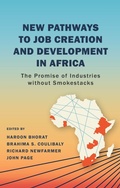 Bild: New Pathways to Job Creation and Development in Africa - Brookings Institution