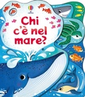 Cover: Chi c'&egrave; nel mare? - Usborne