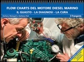 Cover: Flow charts del motore marino diesel. Il guasto, la diagnosi, la cura - Edizioni Il Frangente