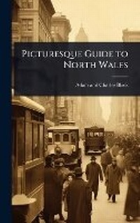 Abbildung von: Picturesque Guide to North Wales - Hutson Street Press
