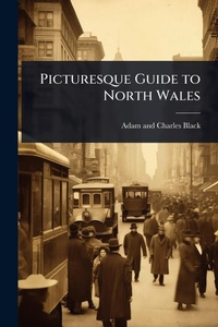 Abbildung von: Picturesque Guide to North Wales - Hutson Street Press