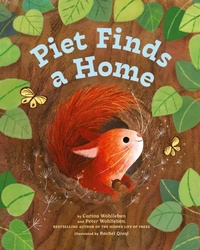 Enlarge image Cover: Piet Finds A Home - Greystone Books,Canada
