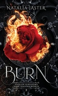 Cover: Burn - Natalia Jaster