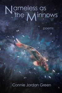 Abbildung von: Nameless as the Minnows - Madville Publishing