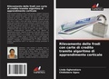 Cover: Rilevamento delle frodi con carte di credito tramite algoritmo di apprendimento corticale - Edizioni Sapienza
