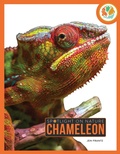 Cover: Chameleon - Creative Company