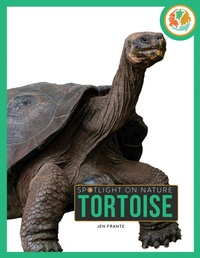 Enlarge image Cover: Tortoise - Creative Company