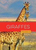 Cover: Giraffes - Creative Company