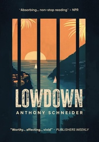 Abbildung von: Lowdown - Permanent Press eBooks