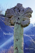 Cover: Needles Arizona - Bad Javelina Press