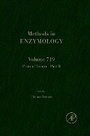 Cover: Protein Termini Part B: Volume 719 - Academic Press