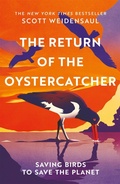Cover: The Return of the Oystercatcher - Picador