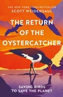 Cover: The Return of the Oystercatcher - Picador