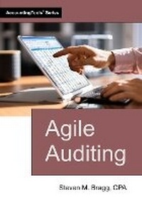 Abbildung von: Agile Auditing - Accountingtools, Inc.