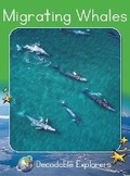 Cover: Migrating Whales - Red Rocket
