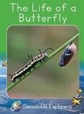 Cover: The Life of a Butterfly - Red Rocket