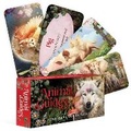 Cover: Animal Guides - Rockpool Publishing