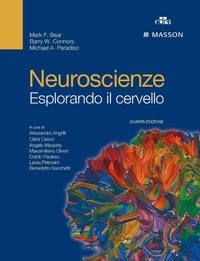 Abbildung von: Neuroscienze. Esplorando il cervello - Edra