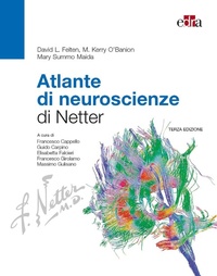 Abbildung von: Atlante di neuroscienze di Netter - Edra