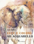 Cover: Luce e colore ad acquarello - Disegno e tecniche pittoriche;Il Castello