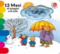 Cover: 12 mesi di pioggia e di sole. Ediz. deluxe - I libri coi buchi;La Coccinella