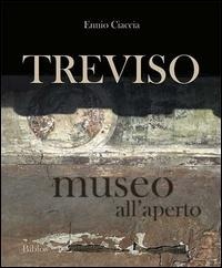 Abbildung von: Treviso museo all'aperto - Biblos