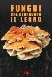 Abbildung von: Funghi che degradano il legno. Dinamiche di azione e conseguenze per gli alberi in ambiente forestale e urbano - Libreria della Natura