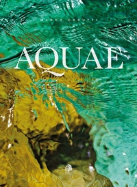 Abbildung von: Aquae. Ediz. italiana e inglese - Tiglio Edizioni
