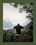 Cover: Zoology. Benvenuti nel regno animale - Seipersei