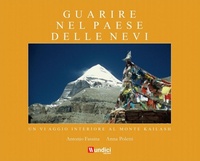 Abbildung von: Guarire nel Paese delle Nevi - Undici