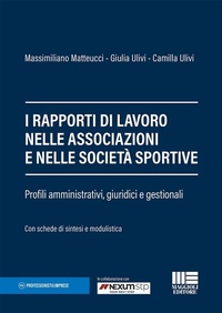 Abbildung von: I rapporti di lavoro nelle associazioni e nelle società sportive - Professionisti & Imprese;Maggioli Editore